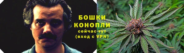 прущие грибы Абинск