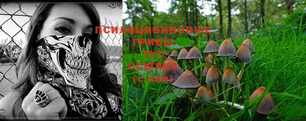прущие грибы Абинск