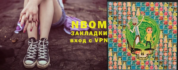 прущие грибы Абинск