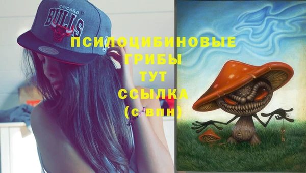 Альфа ПВП Абаза