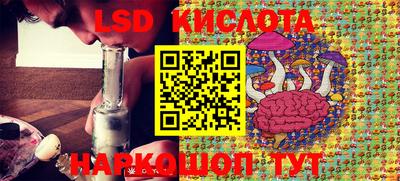 PSILOCYBIN Гатчина