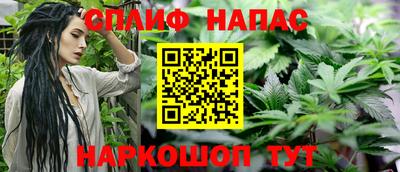 apvp Гай