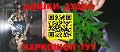 PSILOCYBIN Гатчина