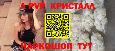 PSILOCYBIN Гатчина