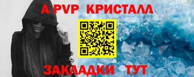 PSILOCYBIN Гатчина
