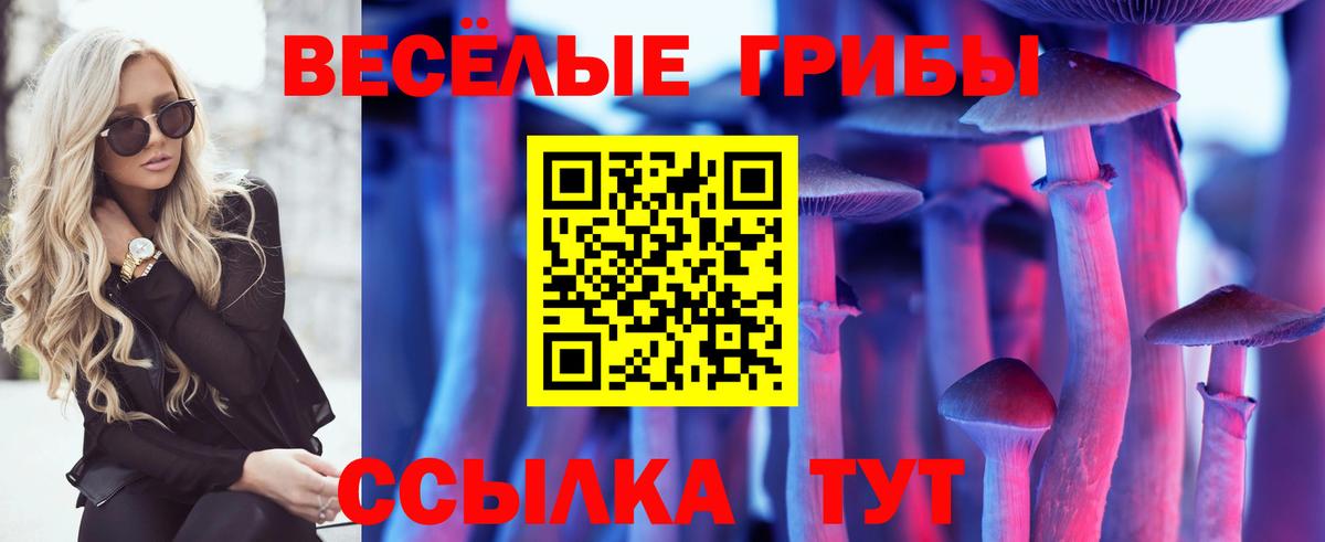 Галлюциногенные грибы прущие грибы Новочебоксарск