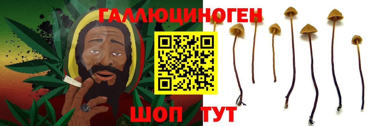 Галлюциногенные грибы Psilocybine cubensis  Вход с VPN  Новочебоксарск 
