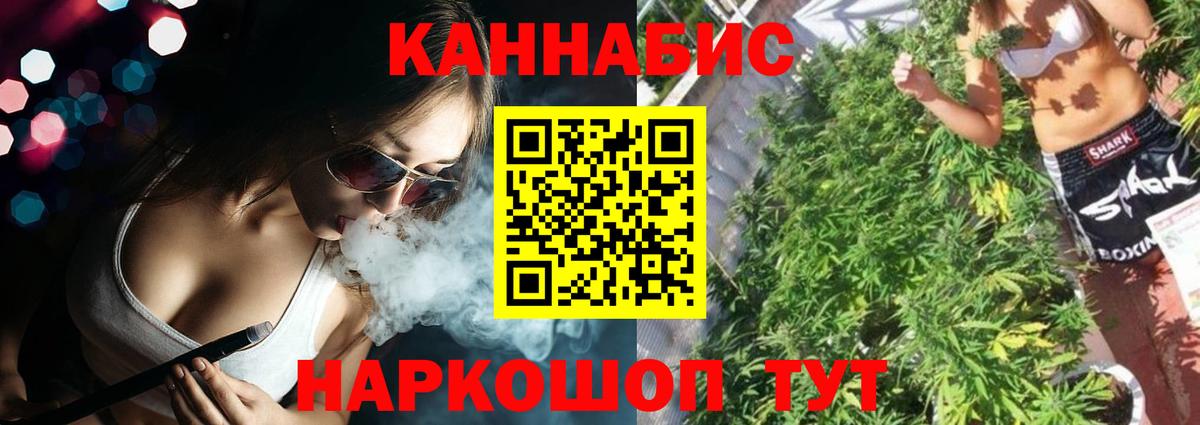 Бошки Шишки White Widow  Бошки марихуана White Widow  Вход с VPN  Новочебоксарск  Канабис сатива  Бошки марихуана конопля 